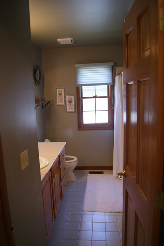 2230 Buckthorn Dr, Algonquin, IL 60102 photo 19