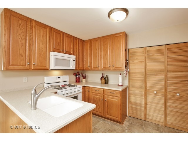 308 E Nebraska St, Elburn, IL 60119 photo 2