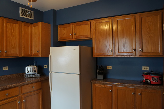 543 S 5th Ave, Des Plaines, IL 60016 photo 10