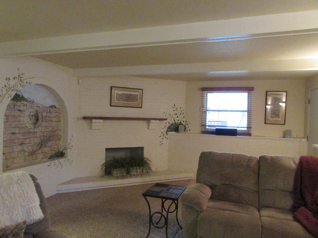 4601 Devon Ave, Lisle, IL 60532 photo 18