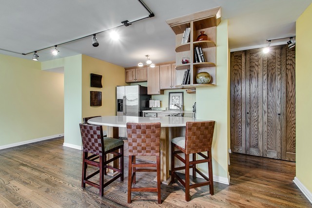 33 E Cedar St #11e, Chicago, IL 60611 photo 6
