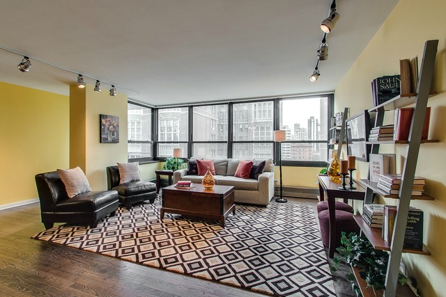 33 E Cedar St #11e, Chicago, IL 60611 photo 3