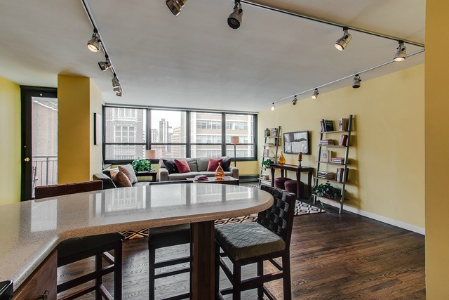 33 E Cedar St #11e, Chicago, IL 60611 photo 9