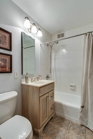 33 E Cedar St #11e, Chicago, IL 60611 photo 11