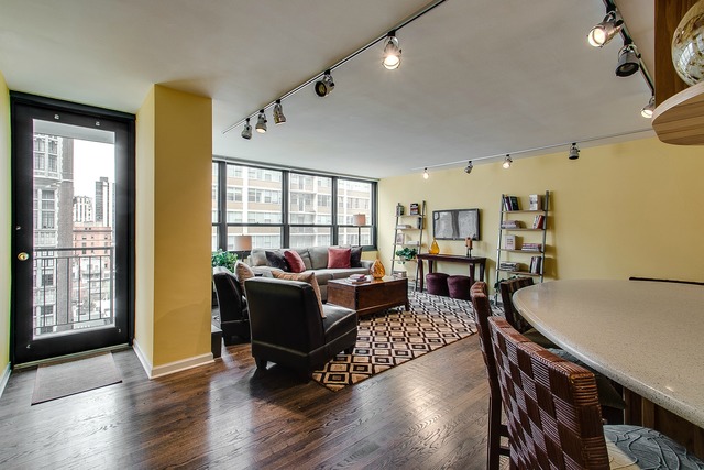 33 E Cedar St #11e, Chicago, IL 60611 photo 7