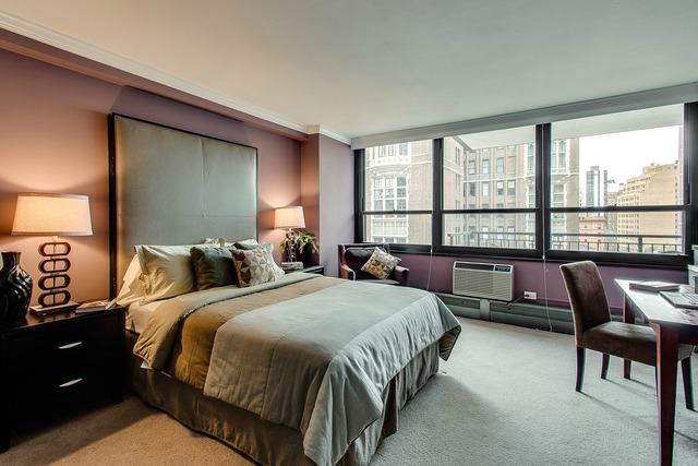 33 E Cedar St #11e, Chicago, IL 60611 photo 12