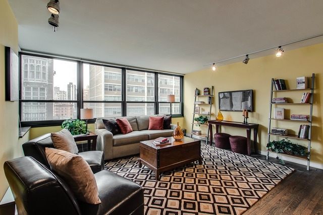 33 E Cedar St #11e, Chicago, IL 60611 photo 5