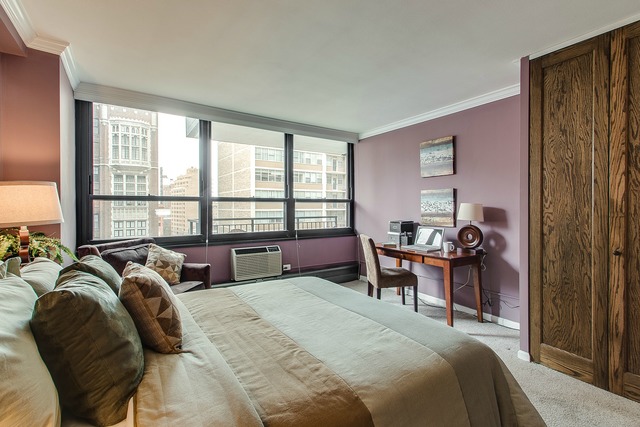 33 E Cedar St #11e, Chicago, IL 60611 photo 13