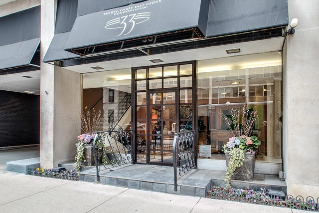 33 E Cedar St #11e, Chicago, IL 60611 photo 2