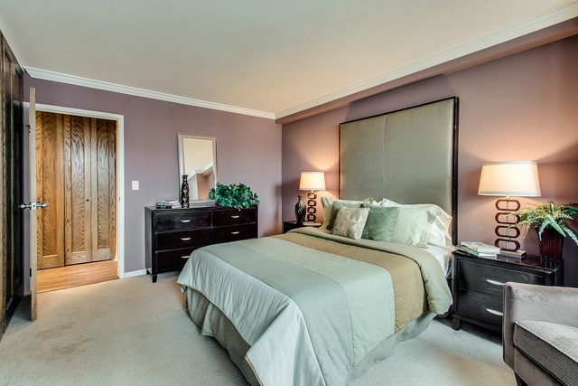 33 E Cedar St #11e, Chicago, IL 60611 photo 14