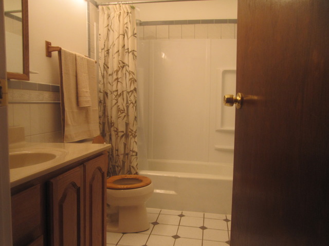 4180 N Firestone Dr, Hoffman Estates, IL 60192 photo 9