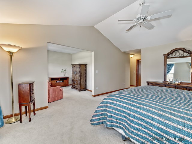 23721 Tallgrass Dr, Plainfield, IL 60585 photo 13