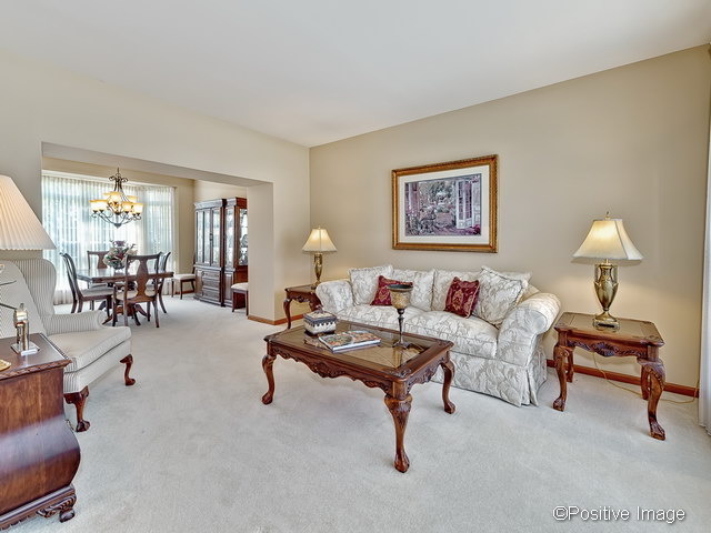 23721 Tallgrass Dr, Plainfield, IL 60585 photo 2