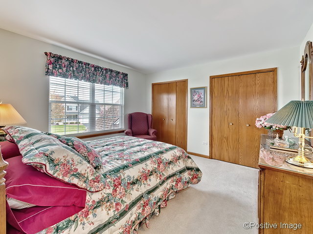 23721 Tallgrass Dr, Plainfield, IL 60585 photo 17