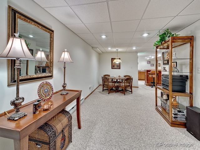 23721 Tallgrass Dr, Plainfield, IL 60585 photo 18