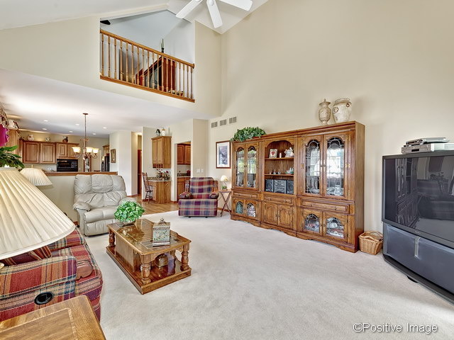 23721 Tallgrass Dr, Plainfield, IL 60585 photo 5