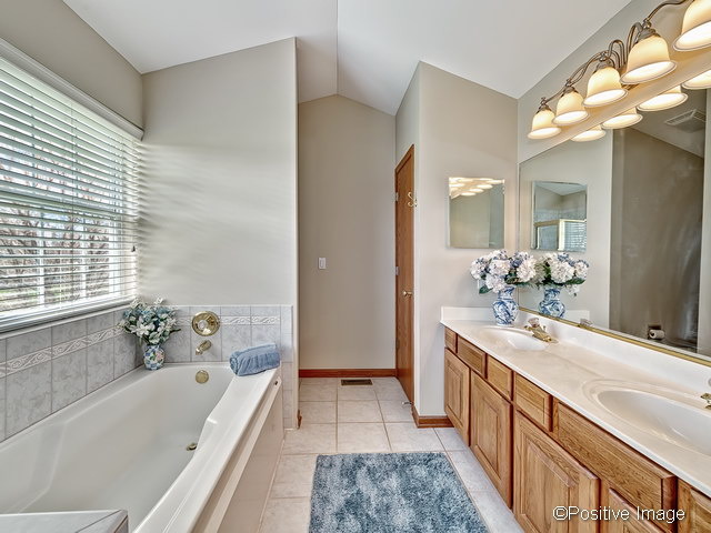 23721 Tallgrass Dr, Plainfield, IL 60585 photo 14