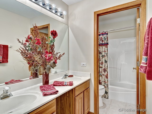 23721 Tallgrass Dr, Plainfield, IL 60585 photo 16