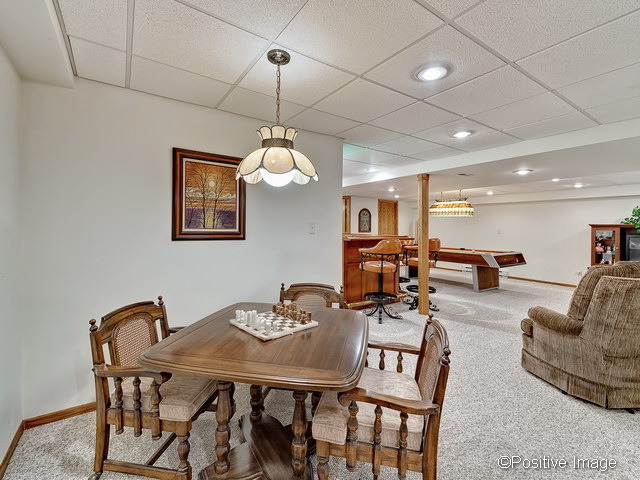 23721 Tallgrass Dr, Plainfield, IL 60585 photo 19