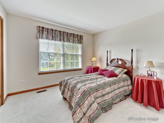 23721 Tallgrass Dr, Plainfield, IL 60585 photo 15