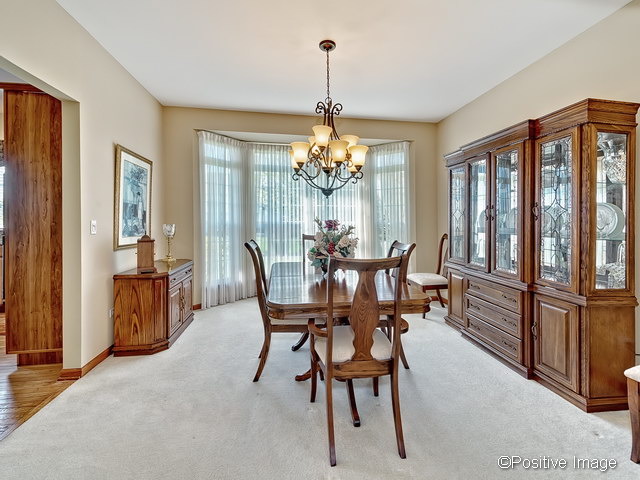 23721 Tallgrass Dr, Plainfield, IL 60585 photo 3