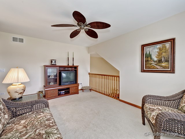 23721 Tallgrass Dr, Plainfield, IL 60585 photo 12