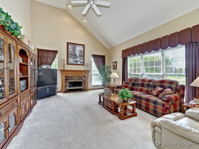 23721 Tallgrass Dr, Plainfield, IL 60585 photo 4