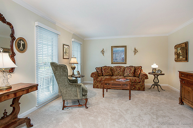 1 N210 Partridge Dr, Carol Stream, IL 60188 photo 9