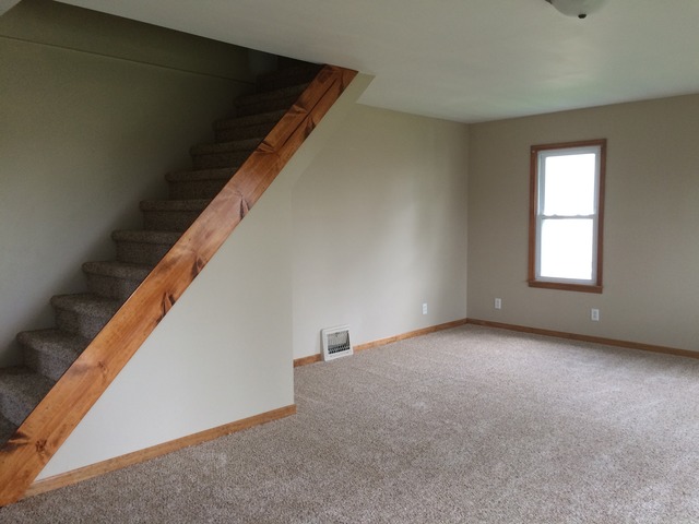 431 E Main St, Wyanet, IL 61379 photo 8