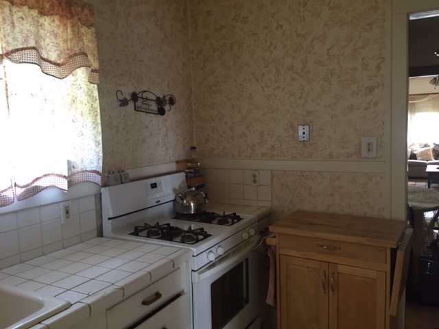 219 Elm St, Elgin, IL 60123 photo 4
