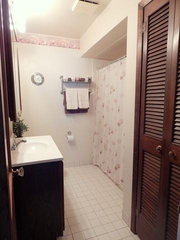 772 S 5th Ave, Des Plaines, IL 60016 photo 14