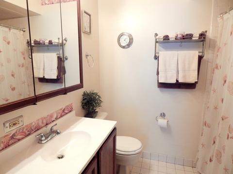 772 S 5th Ave, Des Plaines, IL 60016 photo 13