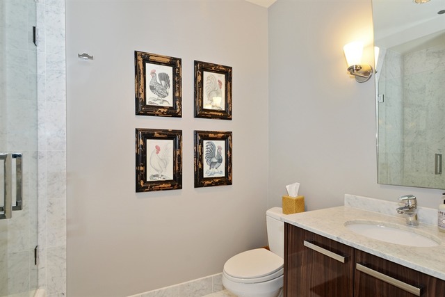 10 E Delaware Pl #19E, Chicago, IL 60611 photo 12