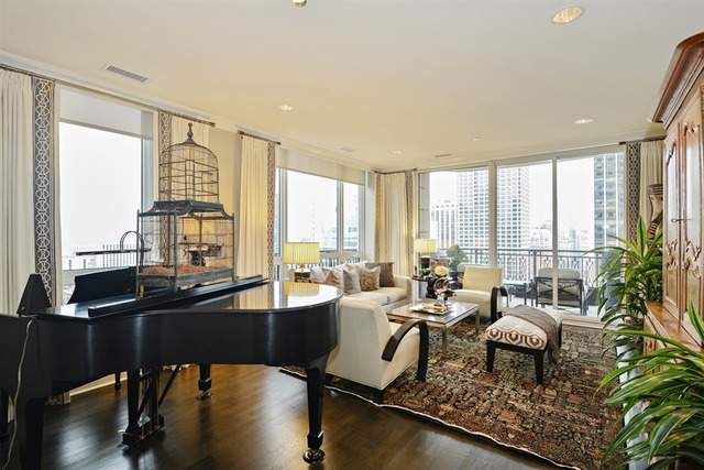 10 E Delaware Pl #19E, Chicago, IL 60611 photo 4