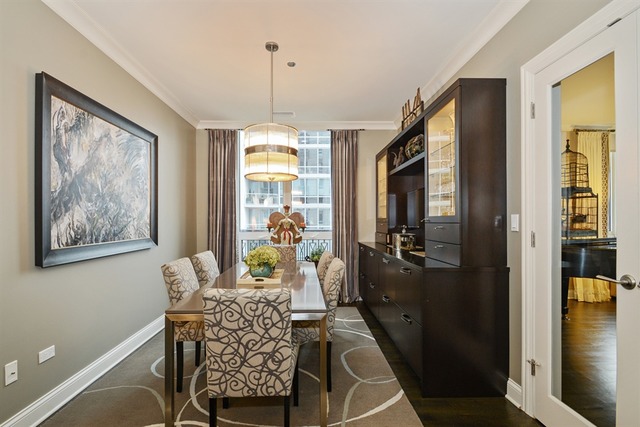 10 E Delaware Pl #19E, Chicago, IL 60611 photo 5