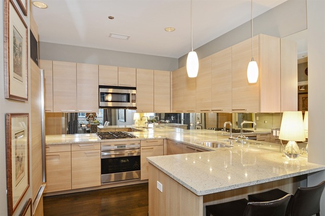 10 E Delaware Pl #19E, Chicago, IL 60611 photo 6