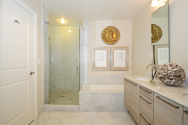 10 E Delaware Pl #19E, Chicago, IL 60611 photo 10