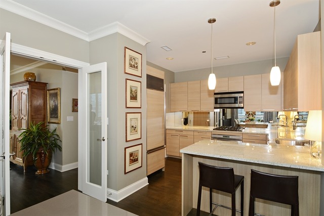 10 E Delaware Pl #19E, Chicago, IL 60611 photo 7