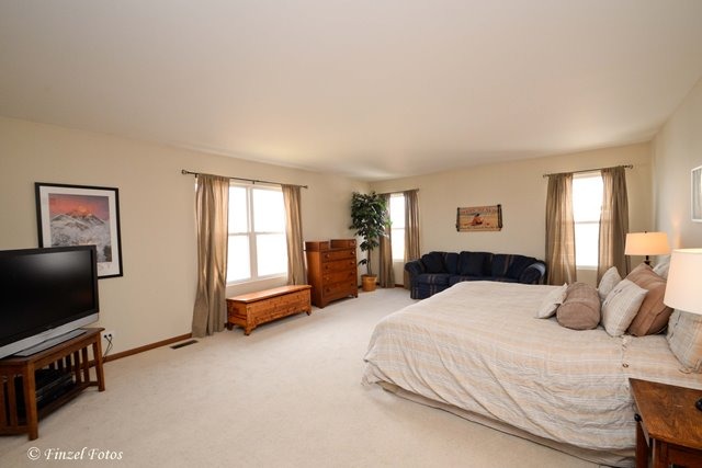 2038 Providence Dr, Bartlett, IL 60103 photo 9