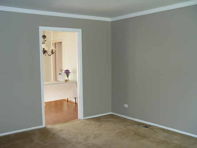 285 Westview St, Hoffman Estates, IL 60169 photo 7