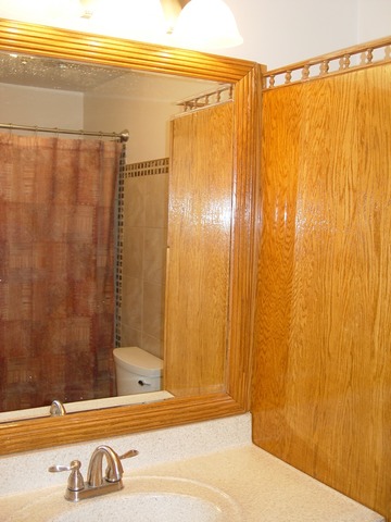 285 Westview St, Hoffman Estates, IL 60169 photo 20