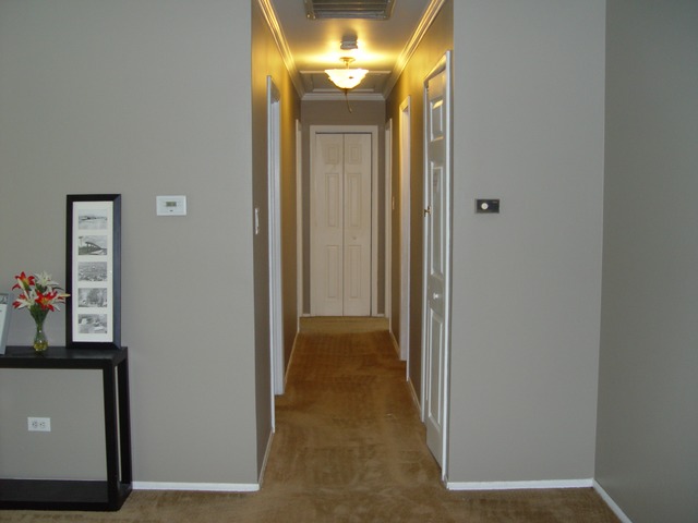 285 Westview St, Hoffman Estates, IL 60169 photo 6