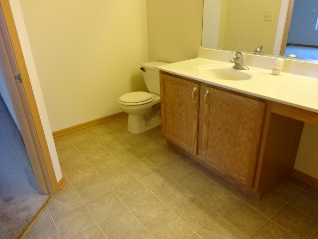 1617 Logan Ridge Ct, Plainfield, IL 60586 photo 11