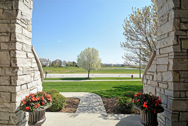 13016 Stellar Ln, Plainfield, IL 60585 photo 5