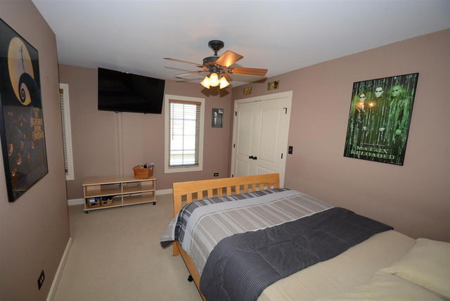 13016 Stellar Ln, Plainfield, IL 60585 photo 19