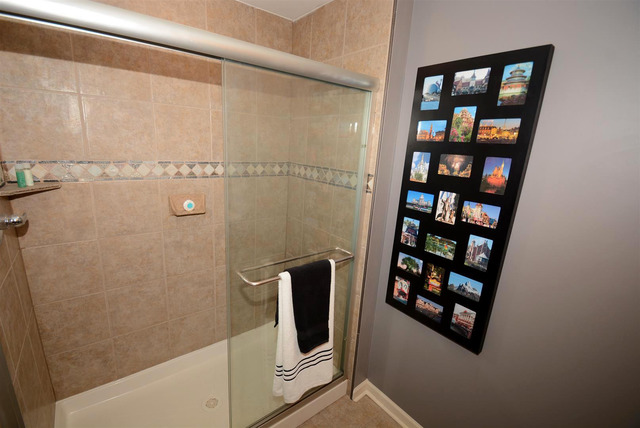 13016 Stellar Ln, Plainfield, IL 60585 photo 24