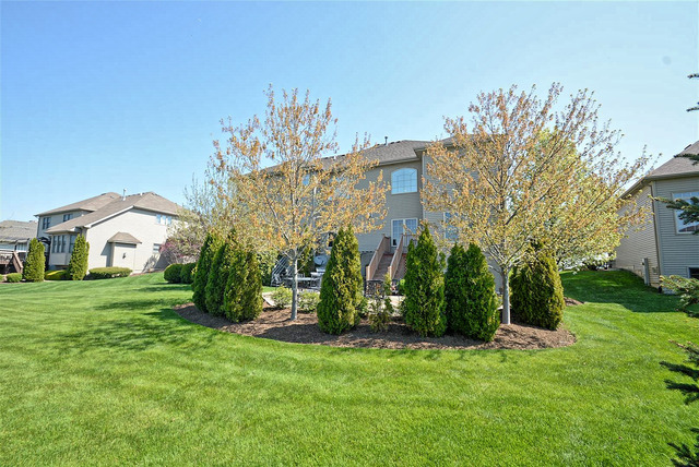13016 Stellar Ln, Plainfield, IL 60585 photo 2