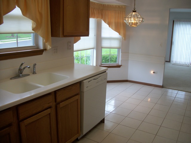 21343 Silktree Cir, Plainfield, IL 60544 photo 4