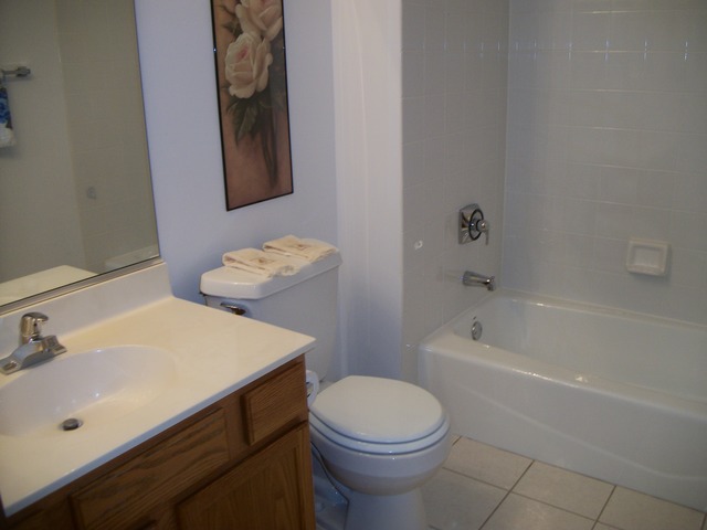21343 Silktree Cir, Plainfield, IL 60544 photo 9