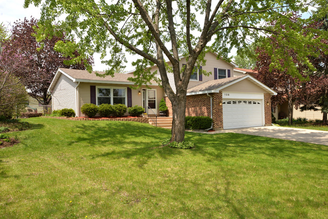 138 S Crest Ave, Bartlett, IL 60103 photo 22